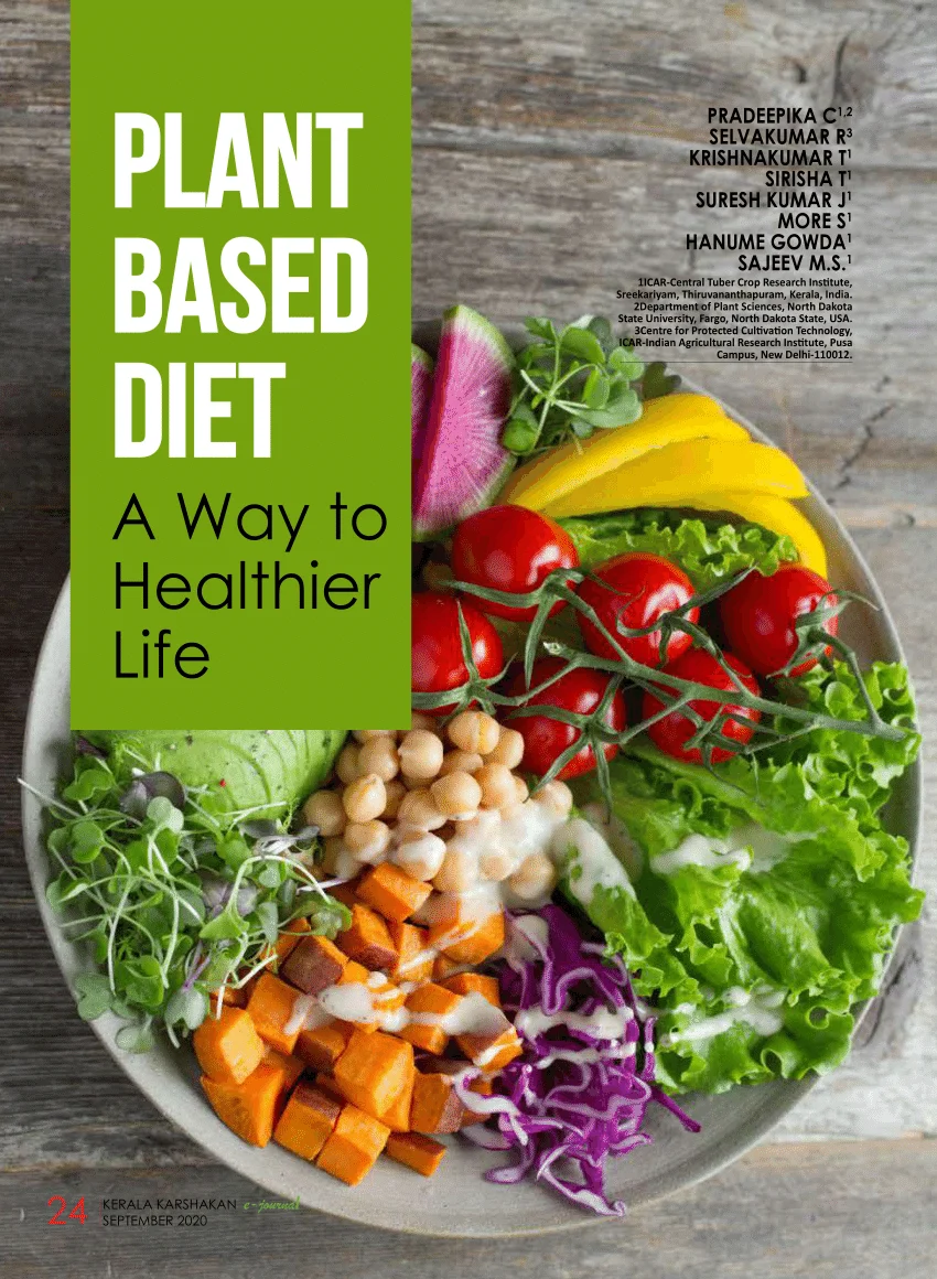 The Plant-Based Diet for Beginners